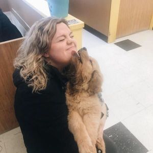 Meet your Posher, Bailey